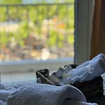 Hotel Χρυσή Αμμουδιά
